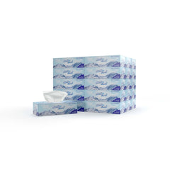 5 Boxes Soft n Cool Facial Tissue 150 x 2 Ply