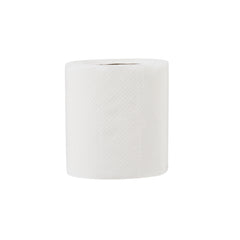 Soft n Cool Toilet Tissue Rolls 2 Ply 100 Sheets