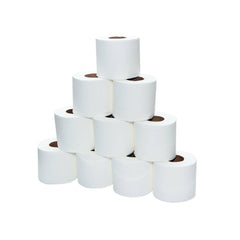 Soft n Cool Toilet Tissue Rolls 2 Ply 100 Sheets