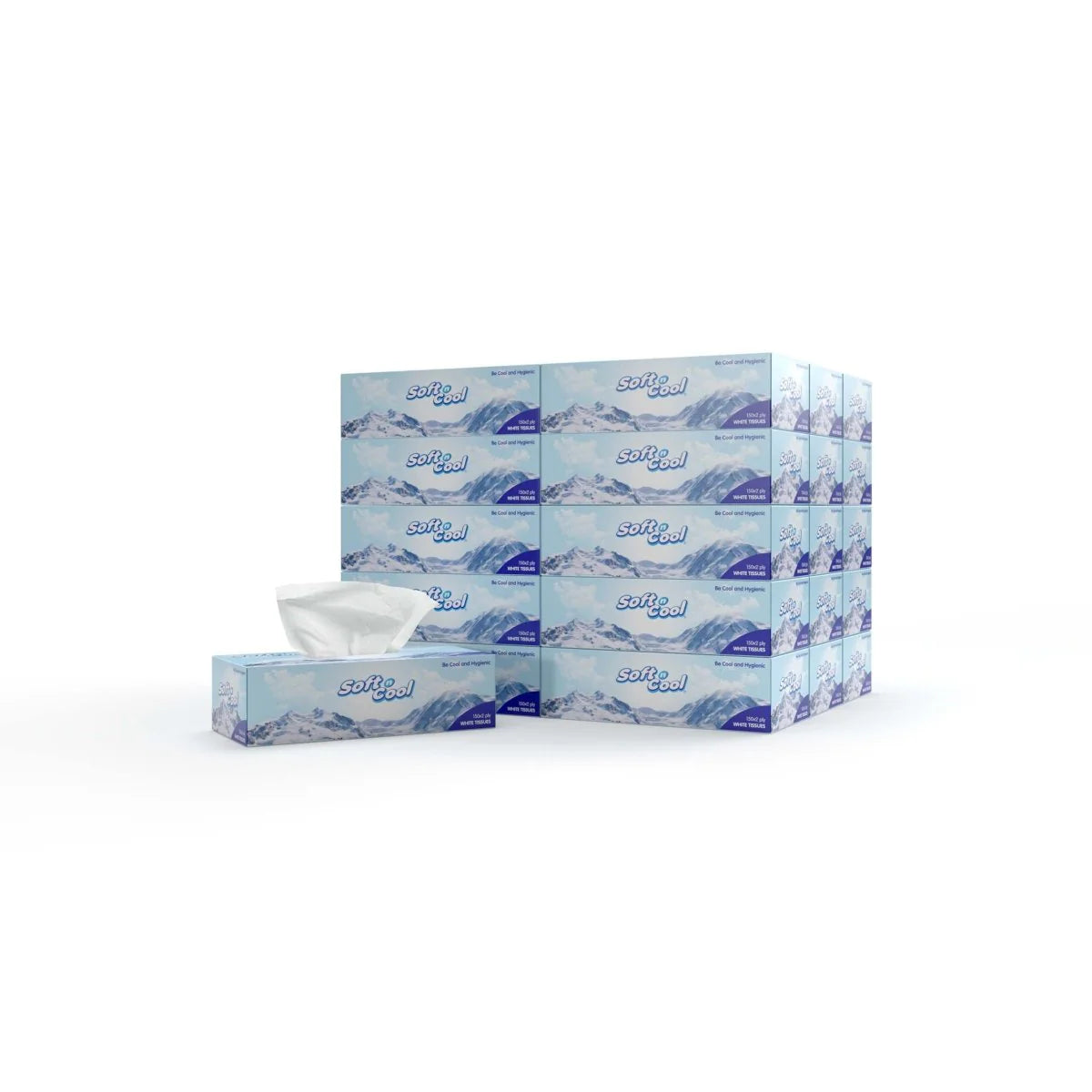 5 Boxes Soft n Cool Facial Tissue 150 x 2 Ply