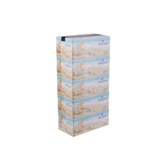 Marjaan Facial Tissue 200 Sheets x 2 Ply 30 Pieces
