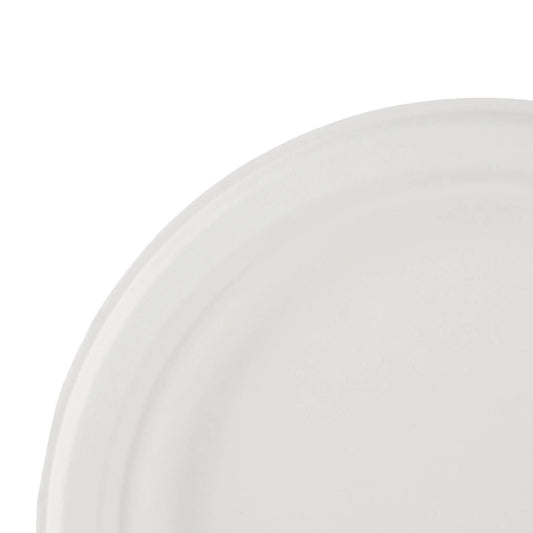 10 Pieces Biodegradable Paper Pulp Plate